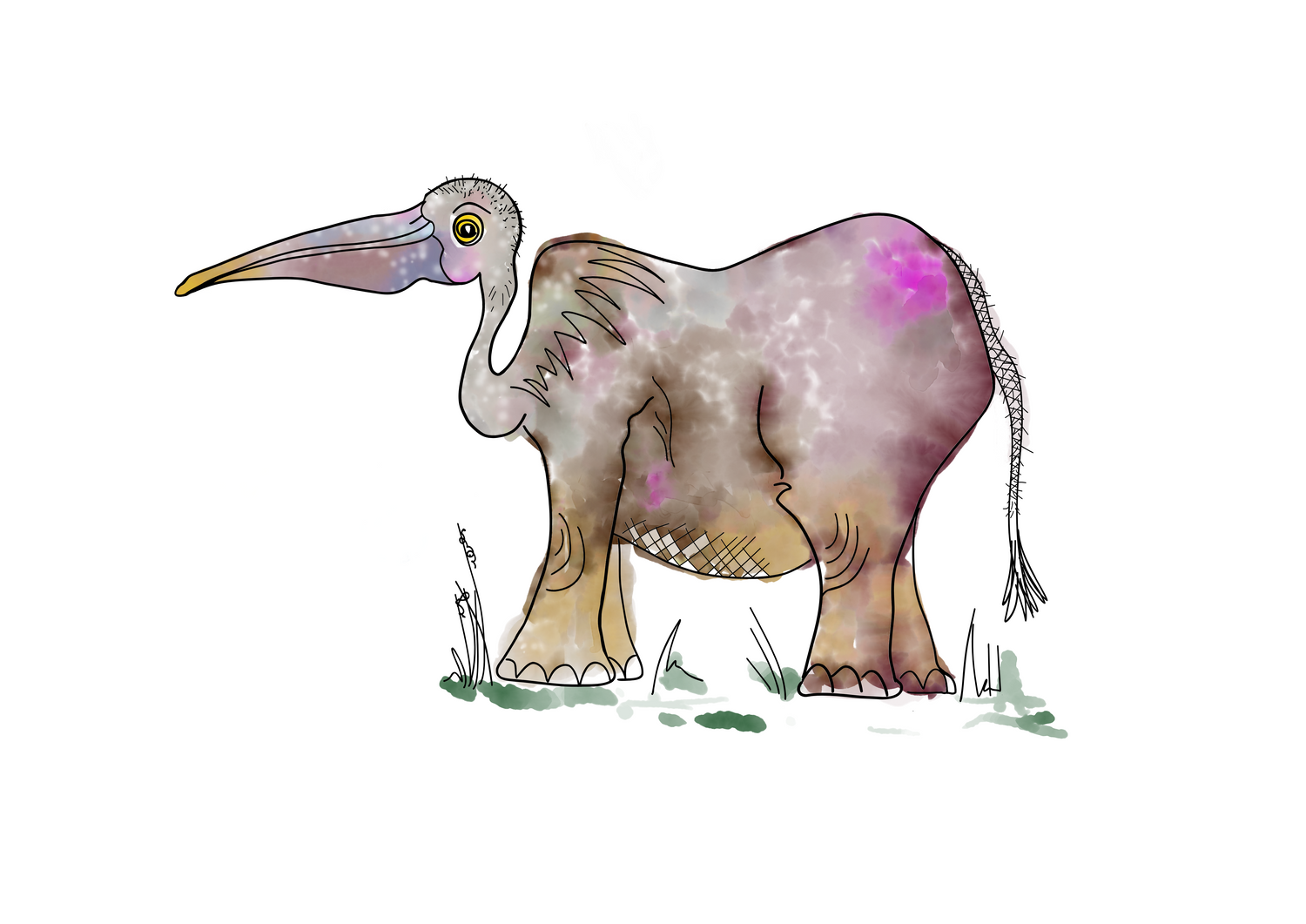 The pelifant is a cross between an elephant and a Pelican. Dean Reeve art prints and originals